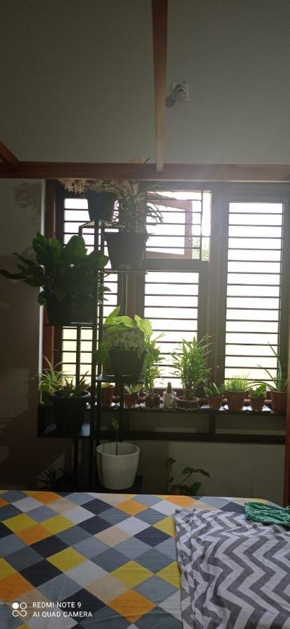 Shruthi'S Aarohi-Nature'S Retreat Mulappilangād Buitenkant foto